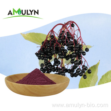 Enhance immunity powder black elderberry extract